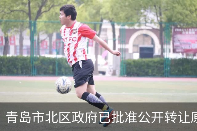 青岛市北区政府已批准公开转让原东方贸易大厦，标的地上14层建面超3万㎡，目前已被环海湾文旅集团抵押给银行