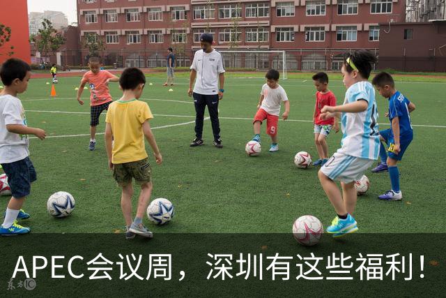 APEC会议周，深圳有这些福利！